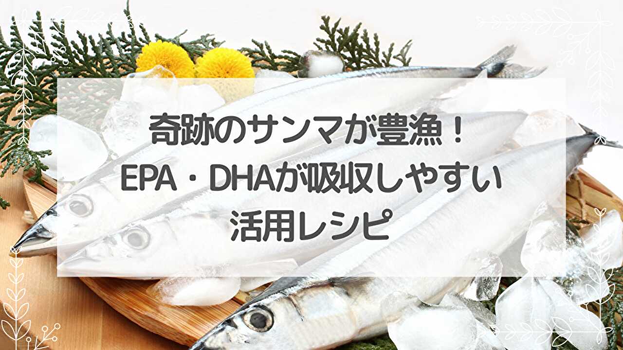 秋刀魚　奇跡のサンマ　豊漁.